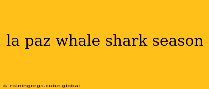 la paz whale shark season