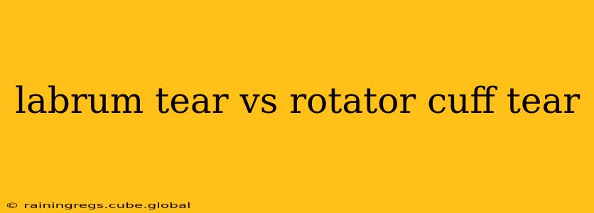 labrum tear vs rotator cuff tear