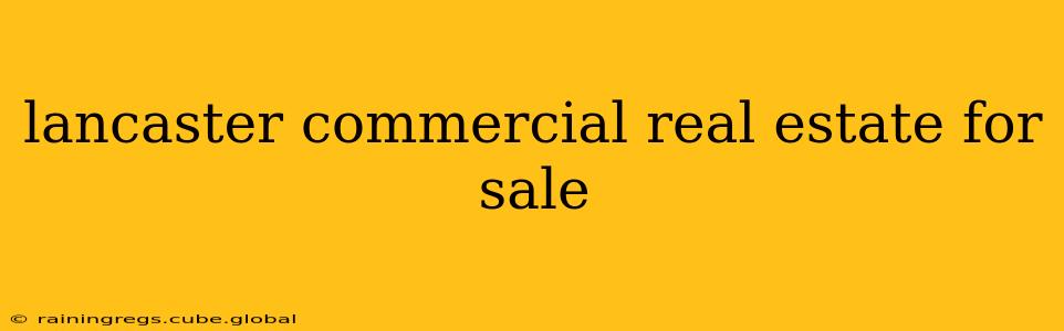 lancaster commercial real estate for sale