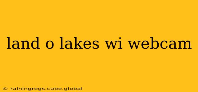 land o lakes wi webcam