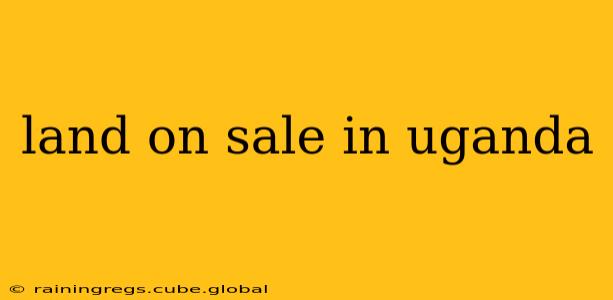 land on sale in uganda