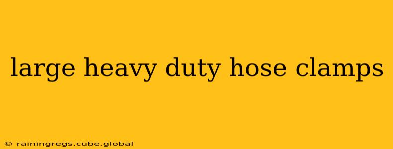 large heavy duty hose clamps