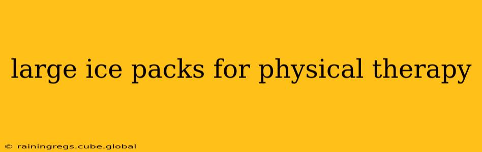 large ice packs for physical therapy