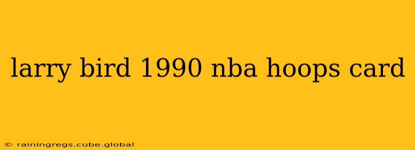 larry bird 1990 nba hoops card