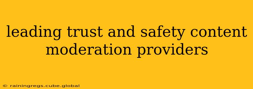 leading trust and safety content moderation providers