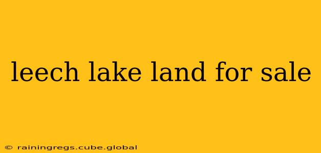 leech lake land for sale