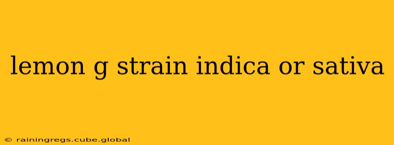 lemon g strain indica or sativa