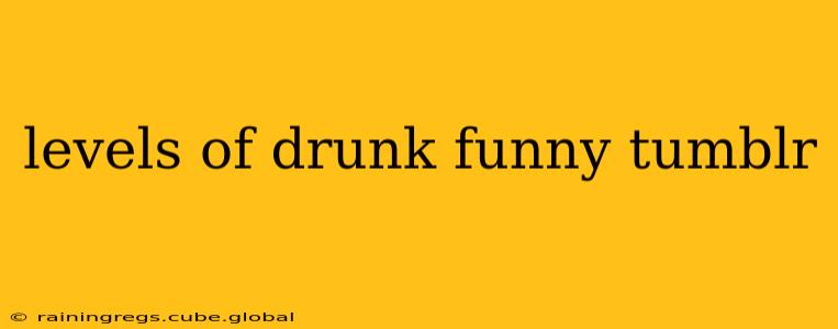 levels of drunk funny tumblr