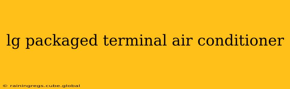 lg packaged terminal air conditioner