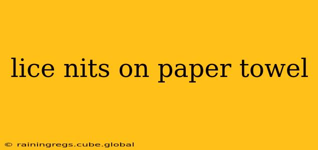 lice nits on paper towel