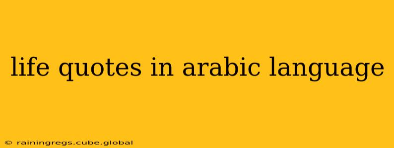 life quotes in arabic language