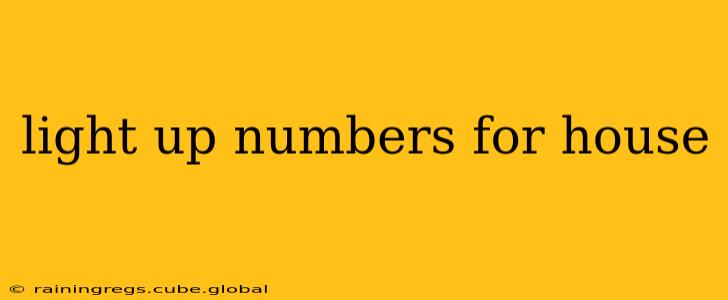 light up numbers for house