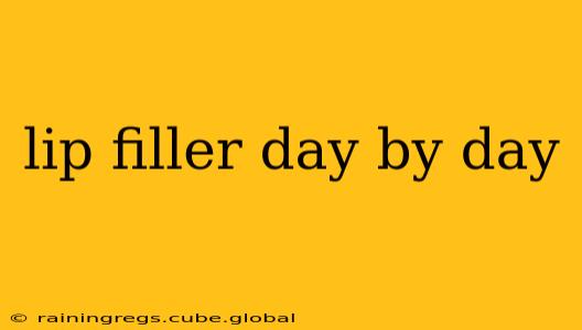 lip filler day by day