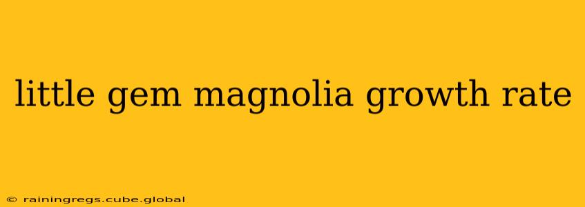little gem magnolia growth rate