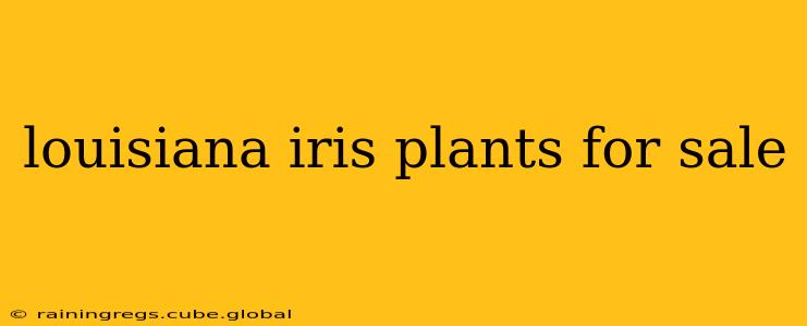 louisiana iris plants for sale