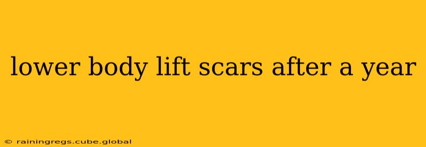 lower body lift scars after a year