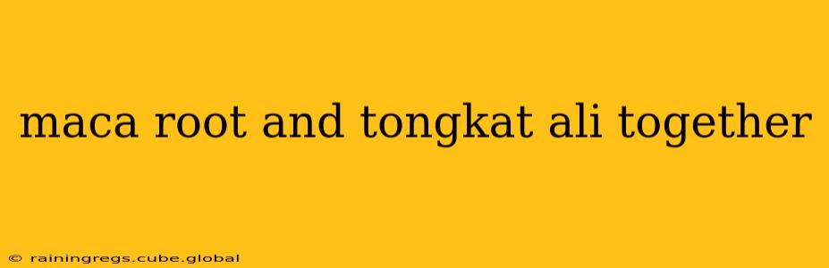 maca root and tongkat ali together