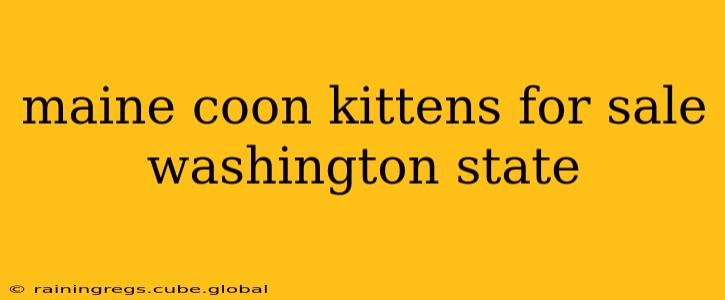 maine coon kittens for sale washington state