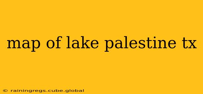 map of lake palestine tx