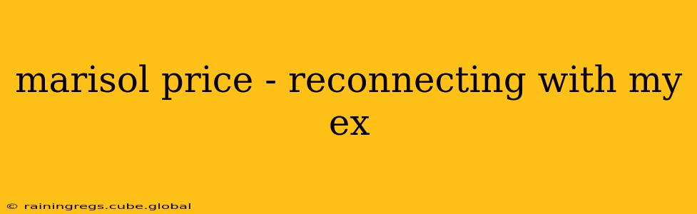 marisol price - reconnecting with my ex