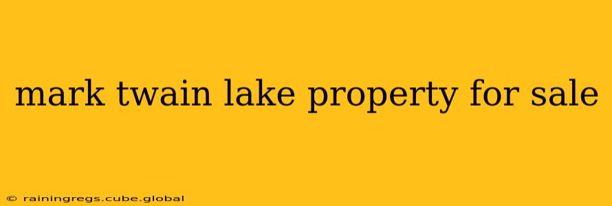 mark twain lake property for sale