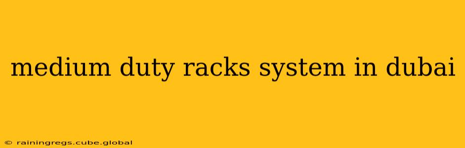 medium duty racks system in dubai
