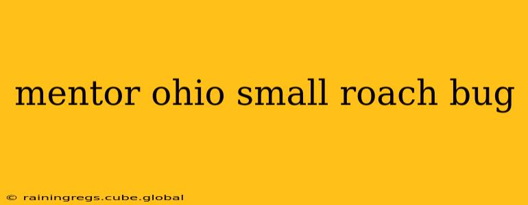 mentor ohio small roach bug