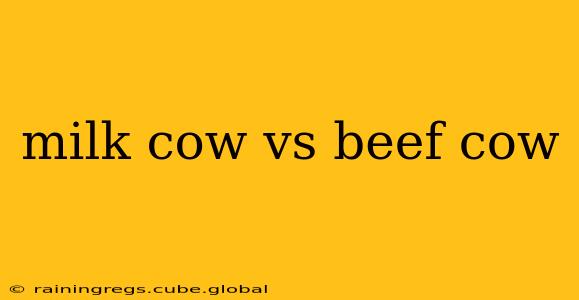 milk cow vs beef cow