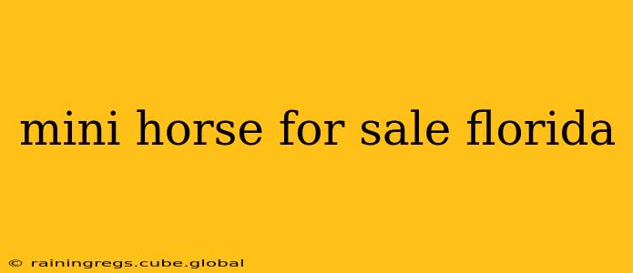 mini horse for sale florida