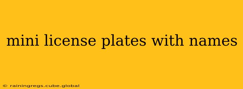 mini license plates with names
