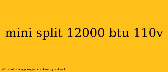 mini split 12000 btu 110v