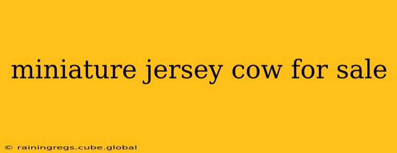 miniature jersey cow for sale