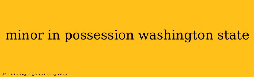 minor in possession washington state
