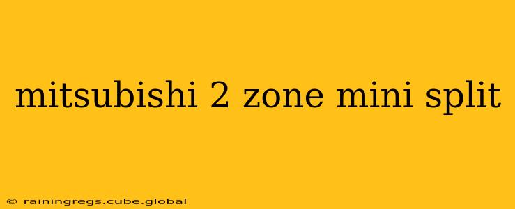 mitsubishi 2 zone mini split