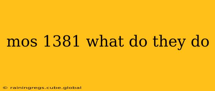 mos 1381 what do they do