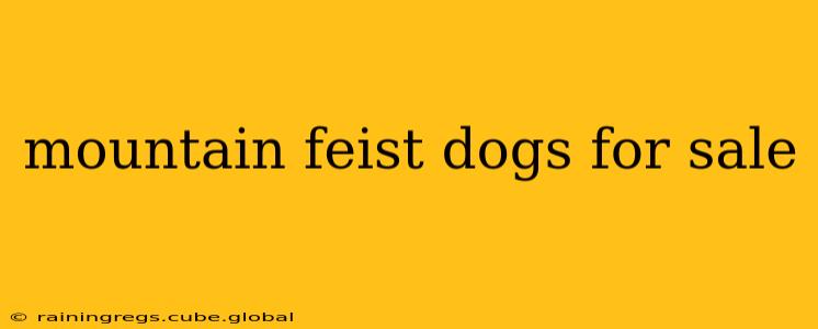 mountain feist dogs for sale