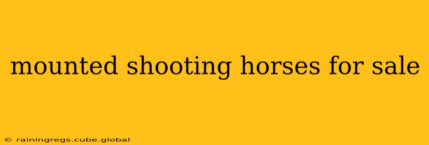 mounted shooting horses for sale