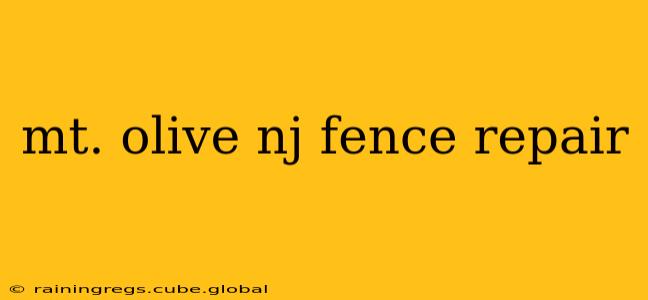 mt. olive nj fence repair