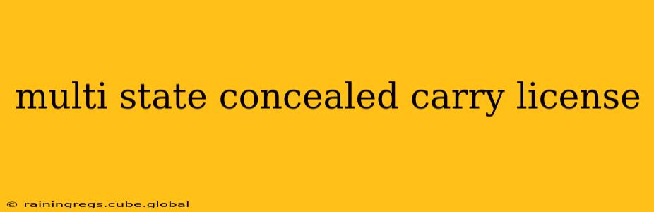 multi state concealed carry license