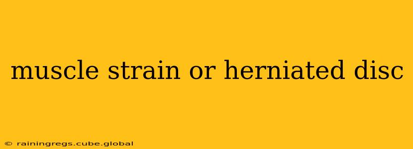muscle strain or herniated disc