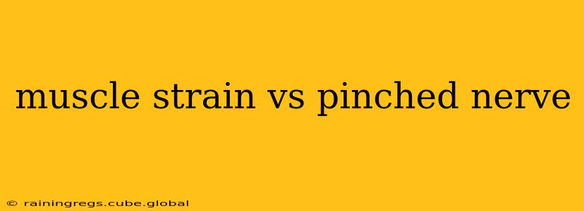 muscle strain vs pinched nerve