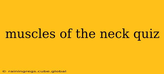 muscles of the neck quiz