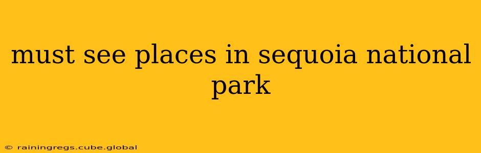 must see places in sequoia national park