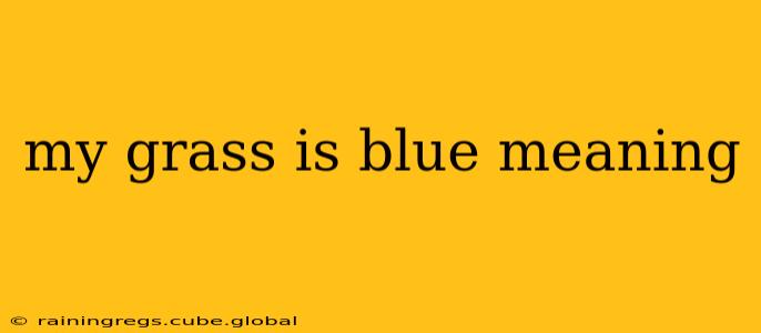 my grass is blue meaning