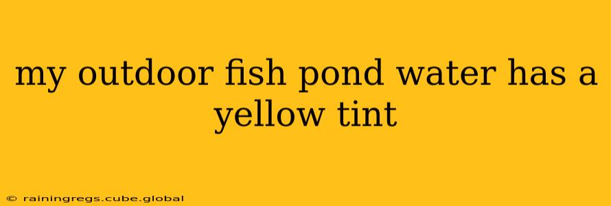 my outdoor fish pond water has a yellow tint