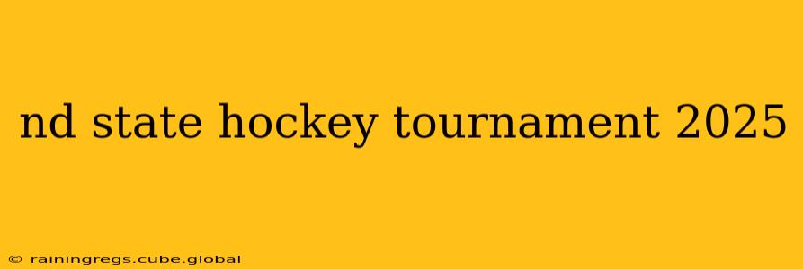 nd state hockey tournament 2025