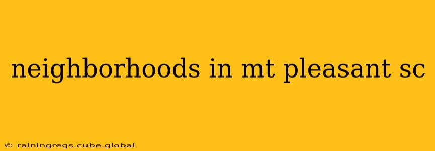 neighborhoods in mt pleasant sc