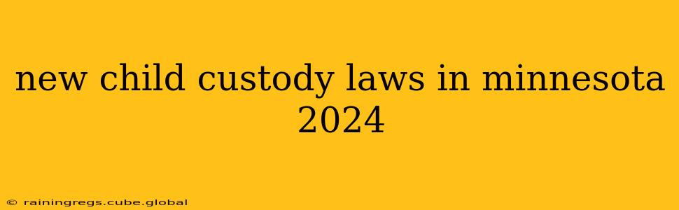 new child custody laws in minnesota 2024