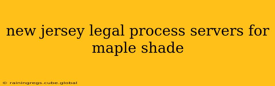 new jersey legal process servers for maple shade