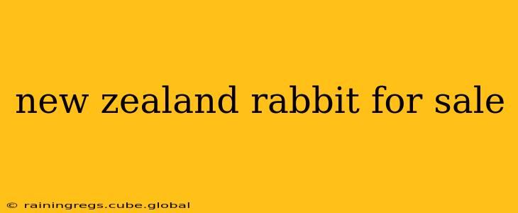 new zealand rabbit for sale